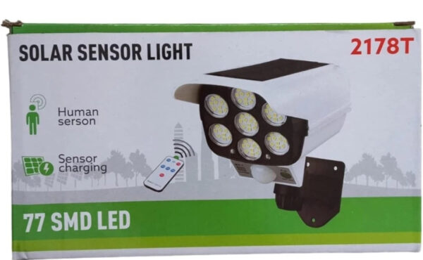 Remote Control Human Sensor Spotlight Garden lamp Solar Light Set - Image 2